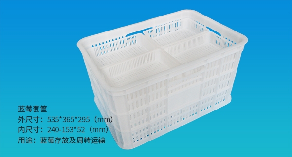 昌吉蓝莓套筐